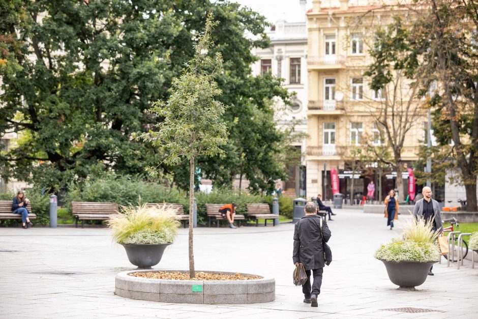 Žaliasis Vilnius: asmenines ir įmonių šventes miestiečiai įamžina sodinukais