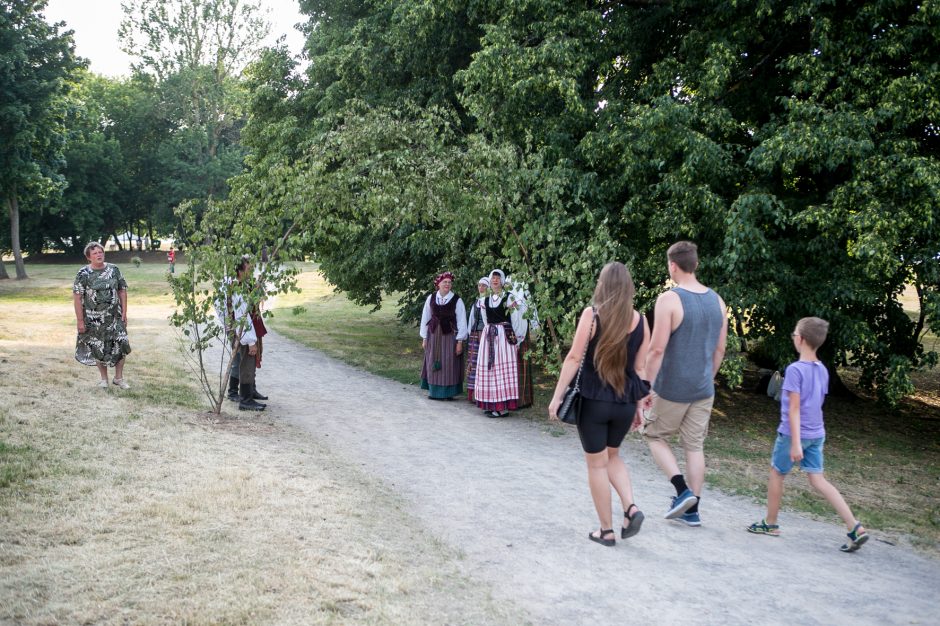 Joninių šventė nutrūko, bet fejerverkai buvo