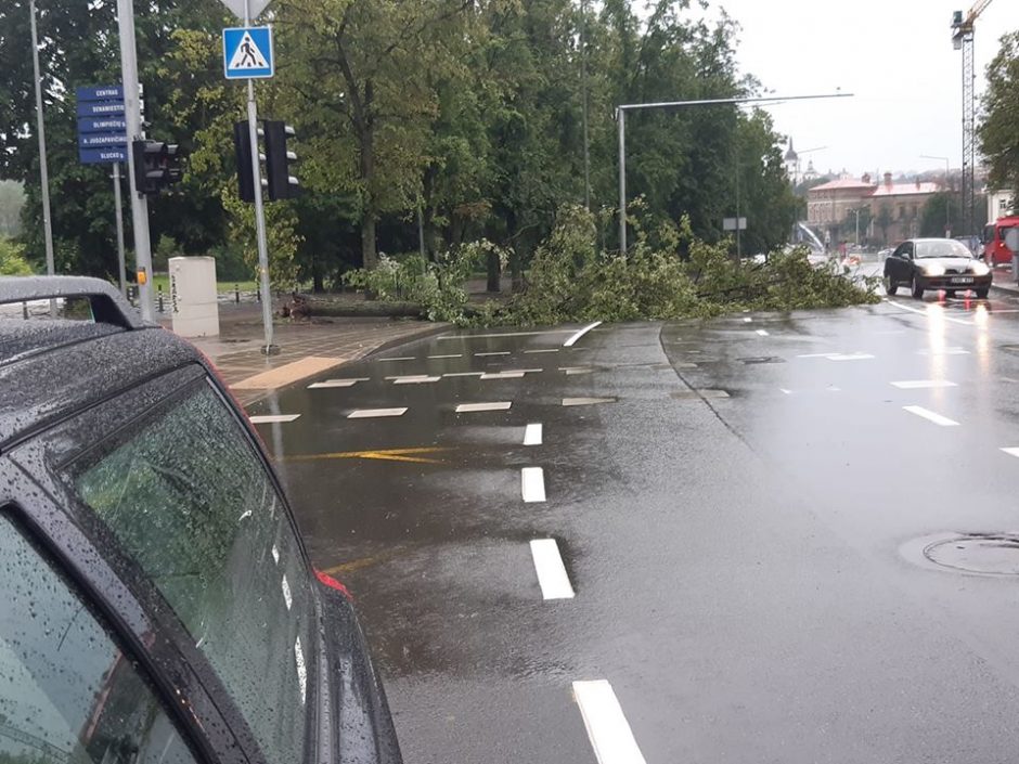 Ugniagesiai šeštadienį 17 kartų vyko šalinti vėjo išverstų medžių