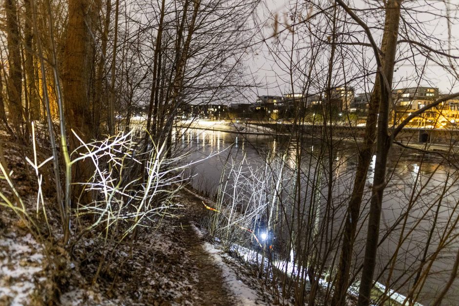 15-mečio vilniečio dingimas: pirmadienio pavakarę paupyje aptikta svarbių radinių