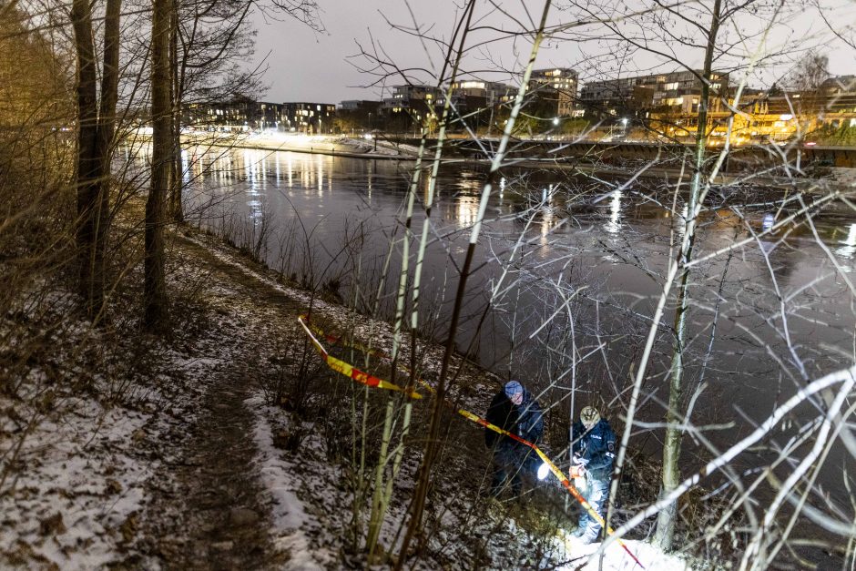 15-mečio vilniečio dingimas: pirmadienio pavakarę paupyje aptikta svarbių radinių