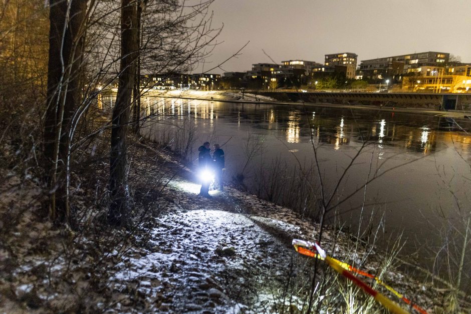 15-mečio vilniečio dingimas: pirmadienio pavakarę paupyje aptikta svarbių radinių