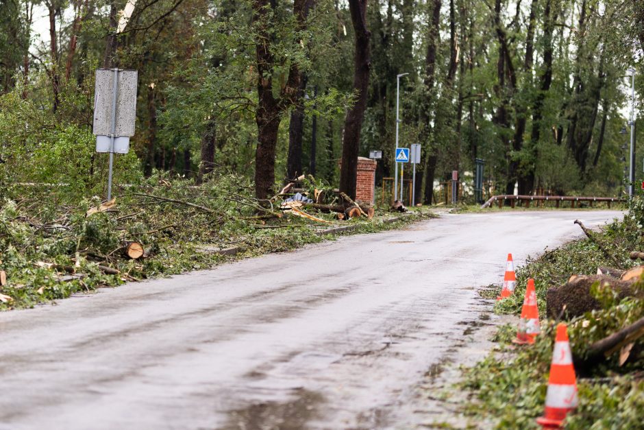 Audra smogė Žagarei: užvirtus medžiui žuvo moteris