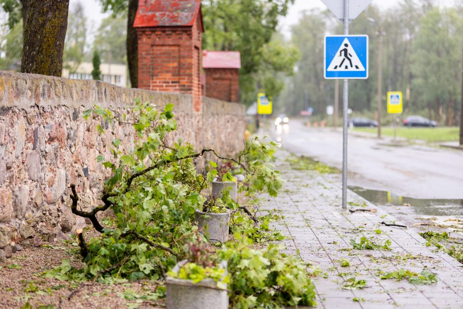 Audra smogė Žagarei: užvirtus medžiui žuvo moteris