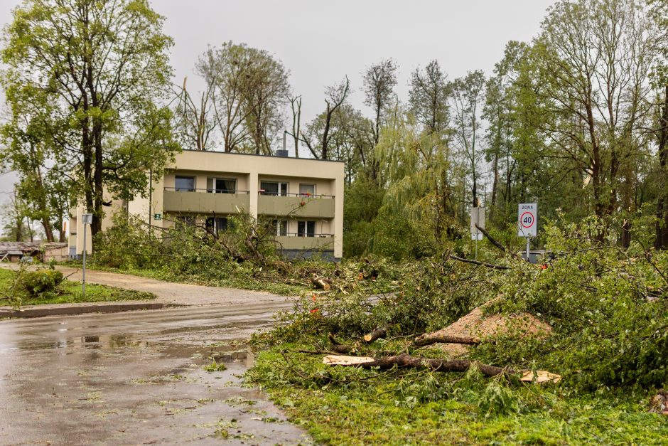 Audra smogė Žagarei: užvirtus medžiui žuvo moteris