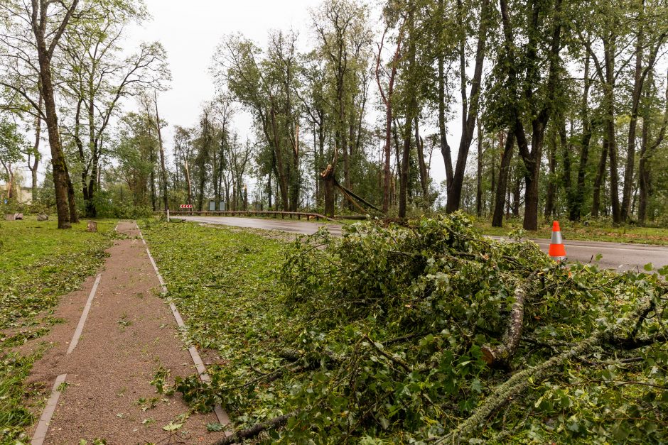 Audra smogė Žagarei: užvirtus medžiui žuvo moteris