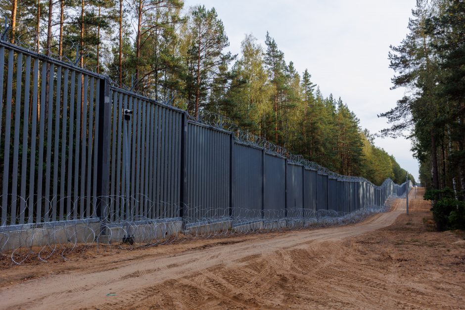 A. Anušauskas: Lietuvos kariai Lenkijoje mokysis naudoti įsigyjamas HIMARS sistemas