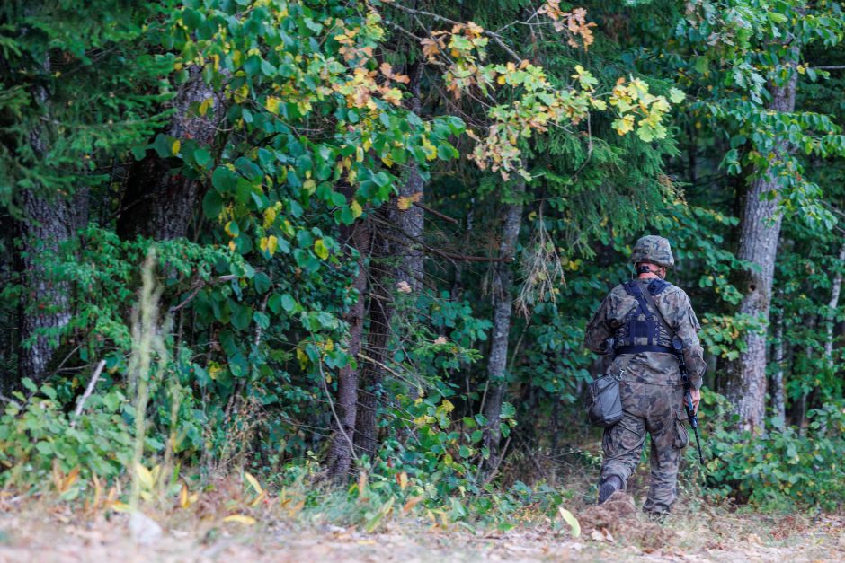 A. Anušauskas: Lietuvos kariai Lenkijoje mokysis naudoti įsigyjamas HIMARS sistemas