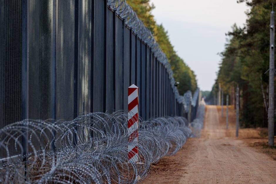 A. Anušauskas: Lietuvos kariai Lenkijoje mokysis naudoti įsigyjamas HIMARS sistemas