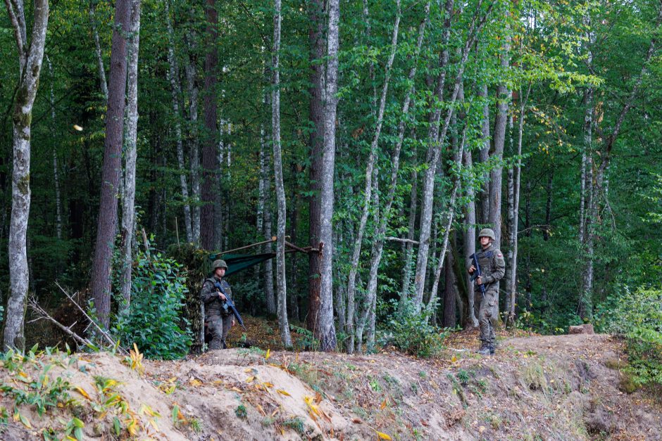 A. Anušauskas: Lietuvos kariai Lenkijoje mokysis naudoti įsigyjamas HIMARS sistemas