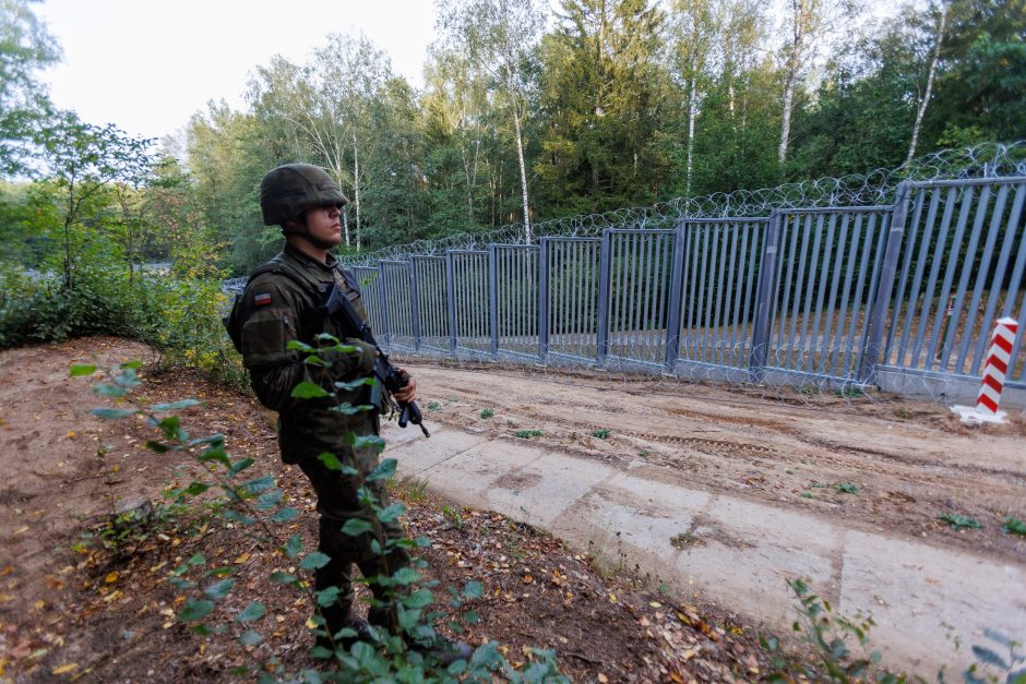 A. Anušauskas: Lietuvos kariai Lenkijoje mokysis naudoti įsigyjamas HIMARS sistemas