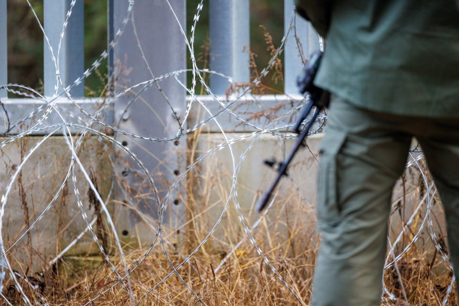 A. Anušauskas: Lietuvos kariai Lenkijoje mokysis naudoti įsigyjamas HIMARS sistemas