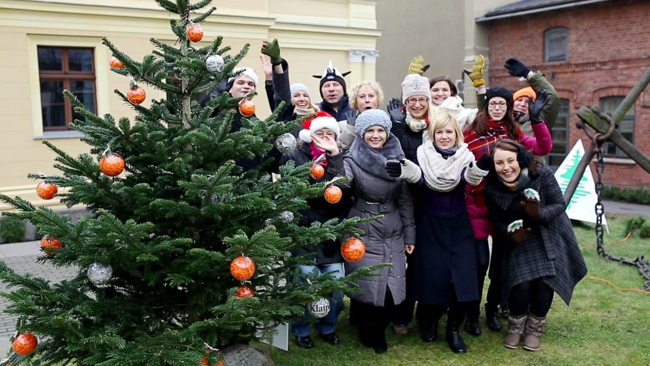 Prie bibliotekos suspindo eglučių alėja