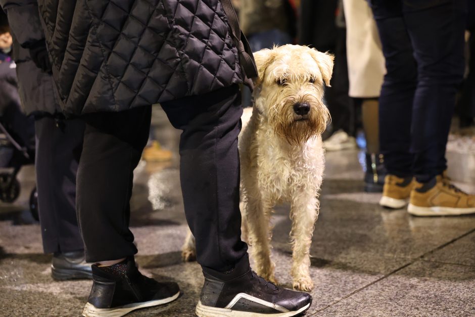 Protestas prieš „Nemuno aušros“ įtraukimą į valdančiąją koaliciją Kaune