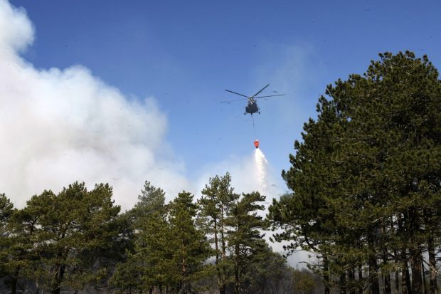 Kuršių nerijoje gaisras lokalizuotas, tačiau reikės dirbti visą savaitgalį 