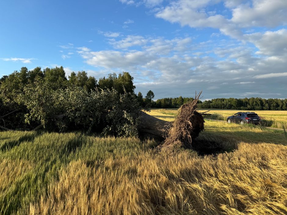 Meteorologas atskleidė, kas lėmė Lietuvą siaubusio pavojingo viesulo susiformavimą