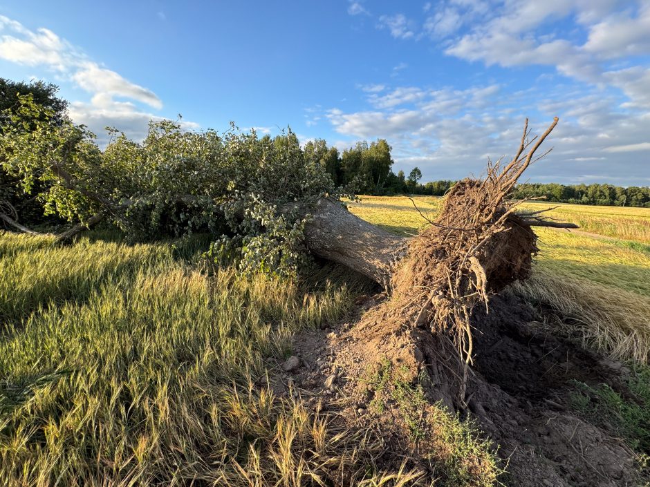 Šiaulių rajone prasiautė viesulas: skaičiuojami nuostoliai, sužalotų asmenų kol kas nėra