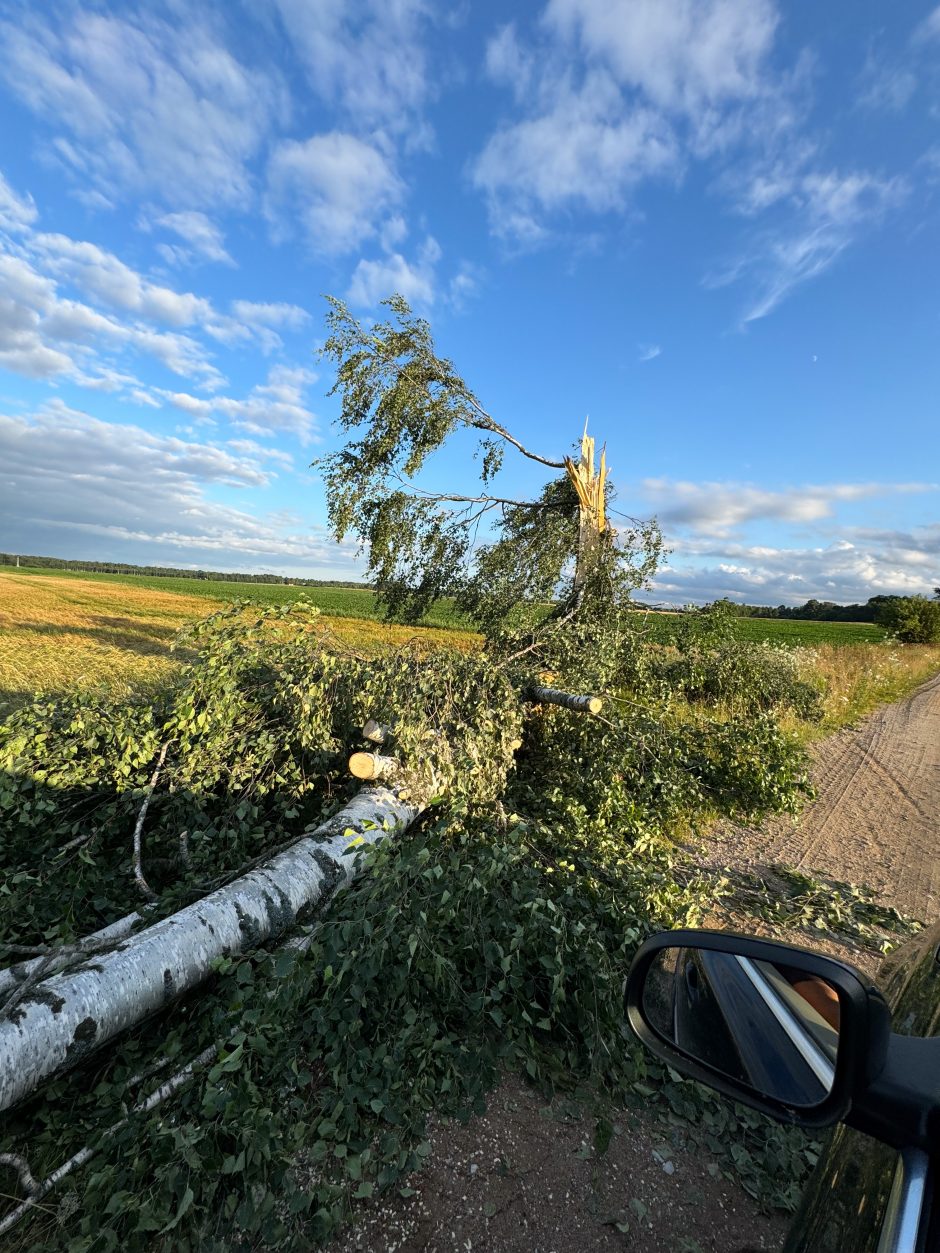 Meteorologas atskleidė, kas lėmė Lietuvą siaubusio pavojingo viesulo susiformavimą