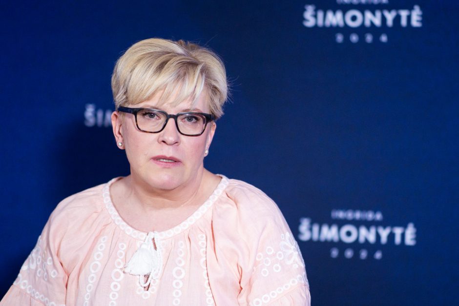 Premjerė: apie TS-LKD vedimą Seimo rinkimuose norėčiau paskelbti per partijos institucijas