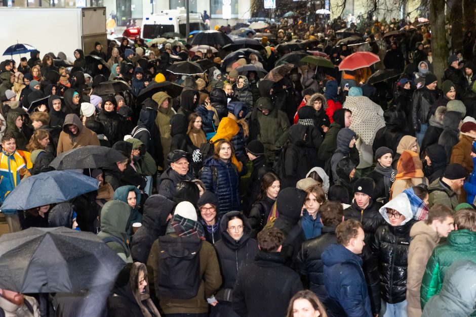 Prie Seimo protestuotojai gėdina socialdemokratus dėl koalicijos su „Nemuno aušra“