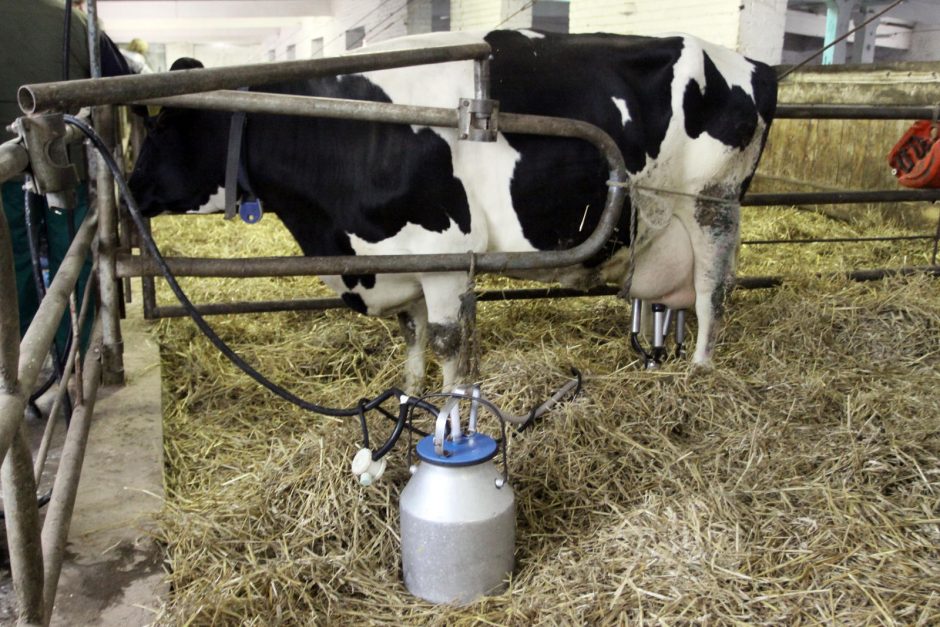 „Pieno centro“ vadovas: kainas reguliuoja ne įstatymai, o rinka