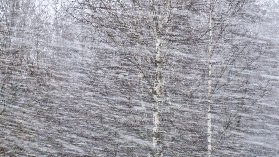 Kai kuriuose Lietuvos rajonuose sninga, labiausiai – Rokiškyje