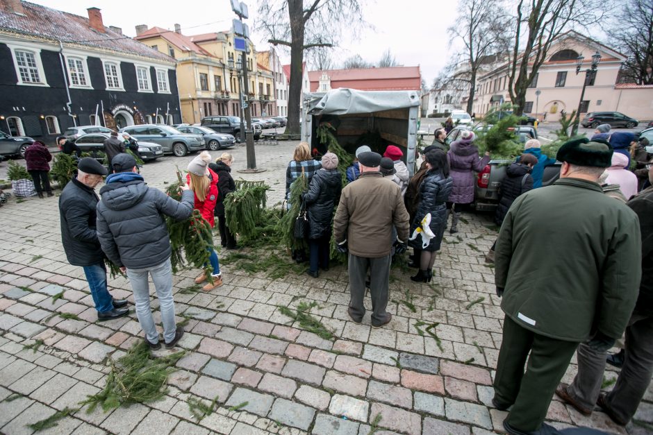 Į kauniečių namus iškeliavo tūkstančiai eglių šakų