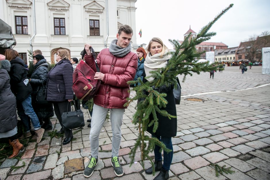 Į kauniečių namus iškeliavo tūkstančiai eglių šakų