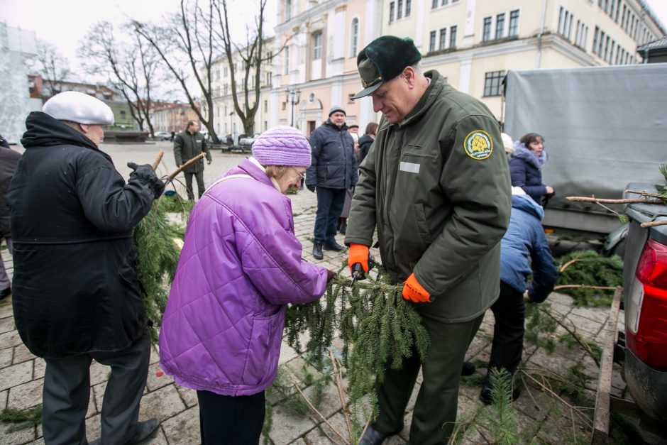 Į kauniečių namus iškeliavo tūkstančiai eglių šakų