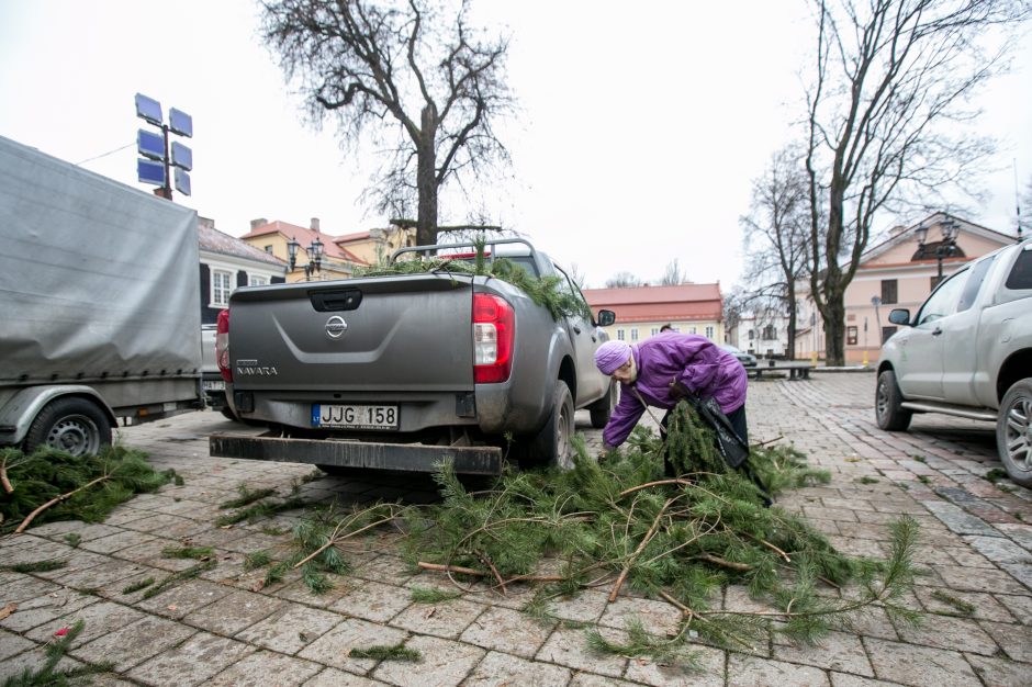 Į kauniečių namus iškeliavo tūkstančiai eglių šakų