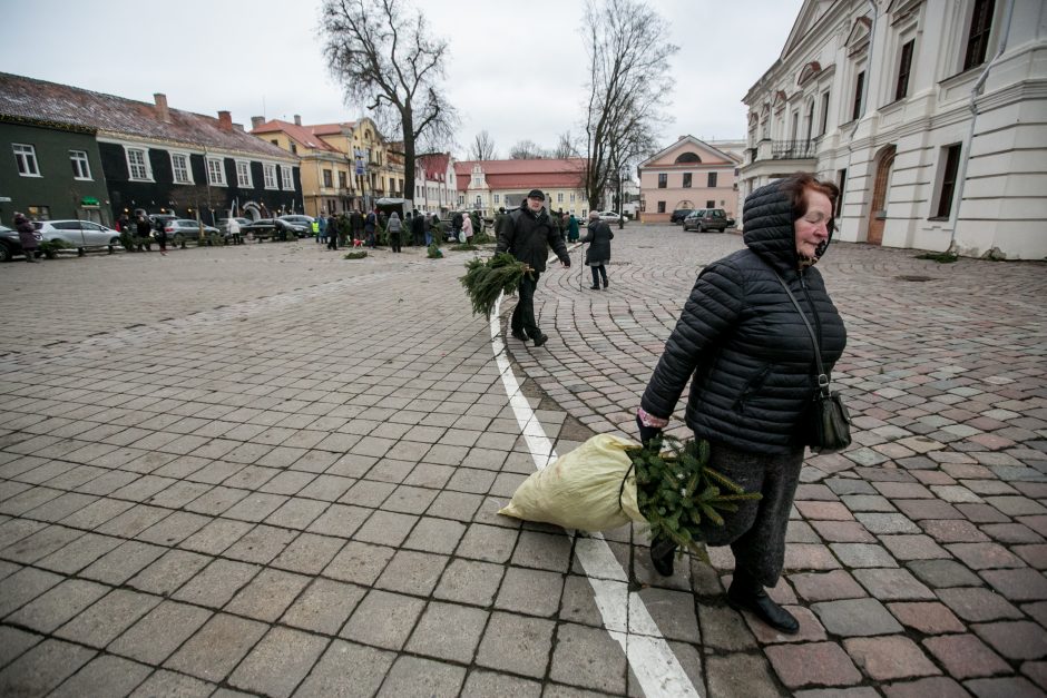 Į kauniečių namus iškeliavo tūkstančiai eglių šakų