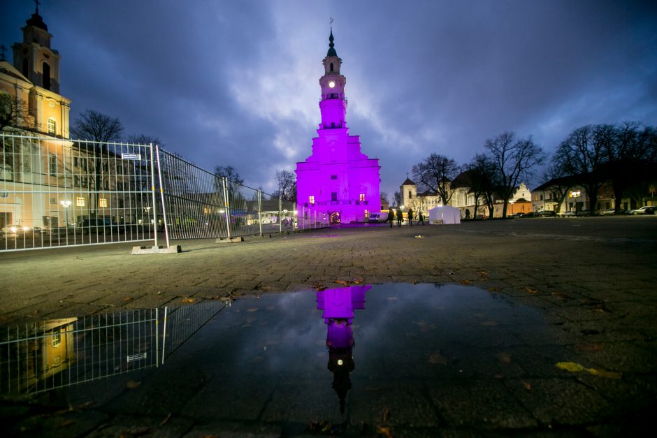 Neišnešiotų naujagimių dieną Kaunas nušvito purpurine spalva