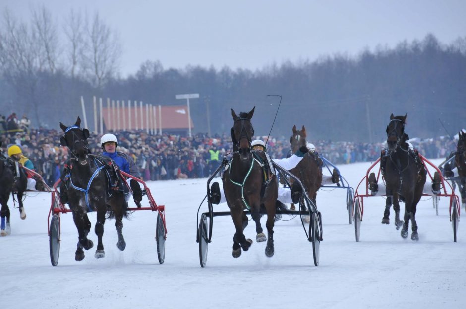 Kas laimės žirgų lenktynes „Sartai 2017“?