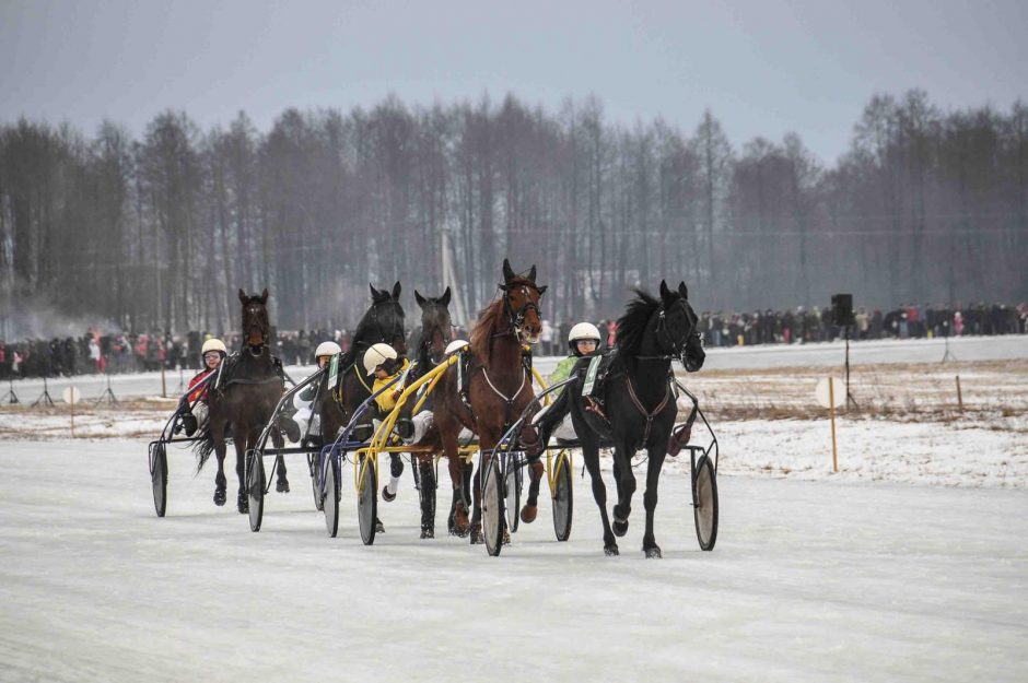 „Sartų 2017“ ledo take – 73 ristūnai