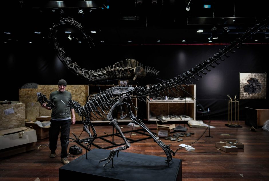 Aukcione parduoti dviejų dinozaurų skeletai – suplotos sumos šokiruoja