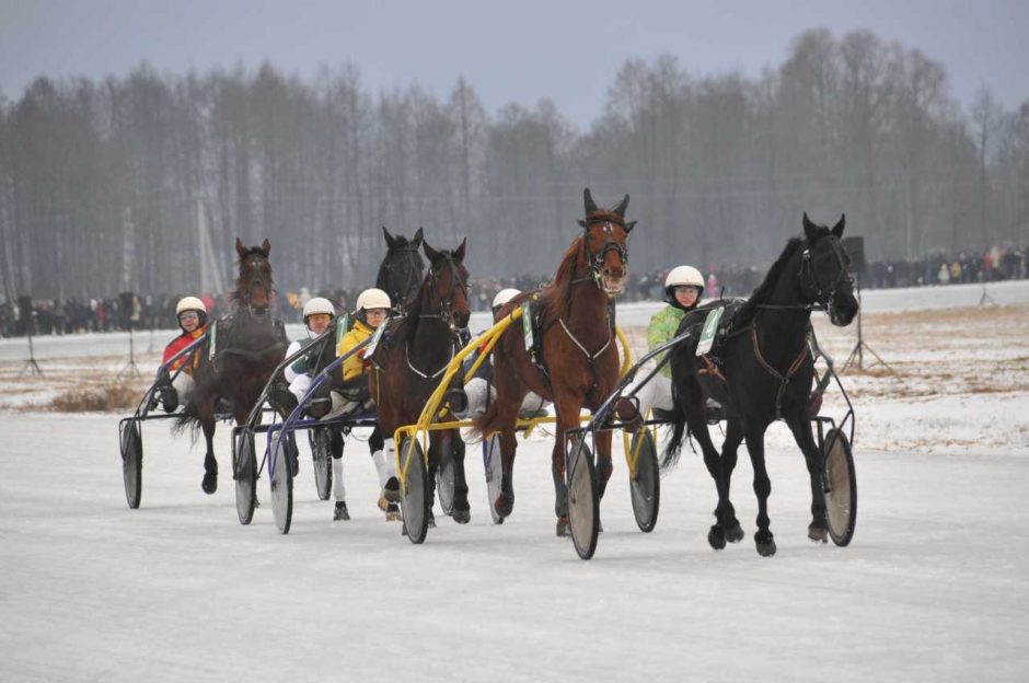 Ryškėja žirginio sporto šventės „Sartai 2018“ kontūrai