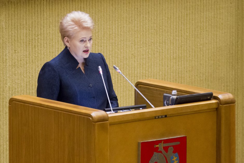 Prezidentė: šis Seimas gali padėti pamatą naujam valstybės raidos etapui