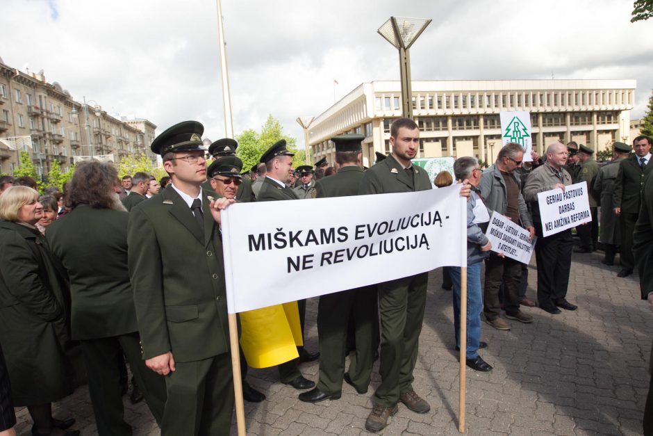 N. Mačiulis: Seimo sprendimas dėl urėdijų – baisus precedentas