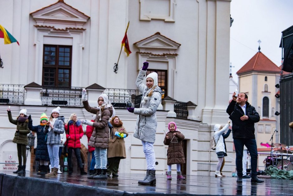 Ilgai laukta akimirka: sužibo pasakiška Kauno eglutė