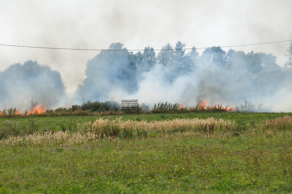 Pakaunė virto liepsnojančiu pragaru