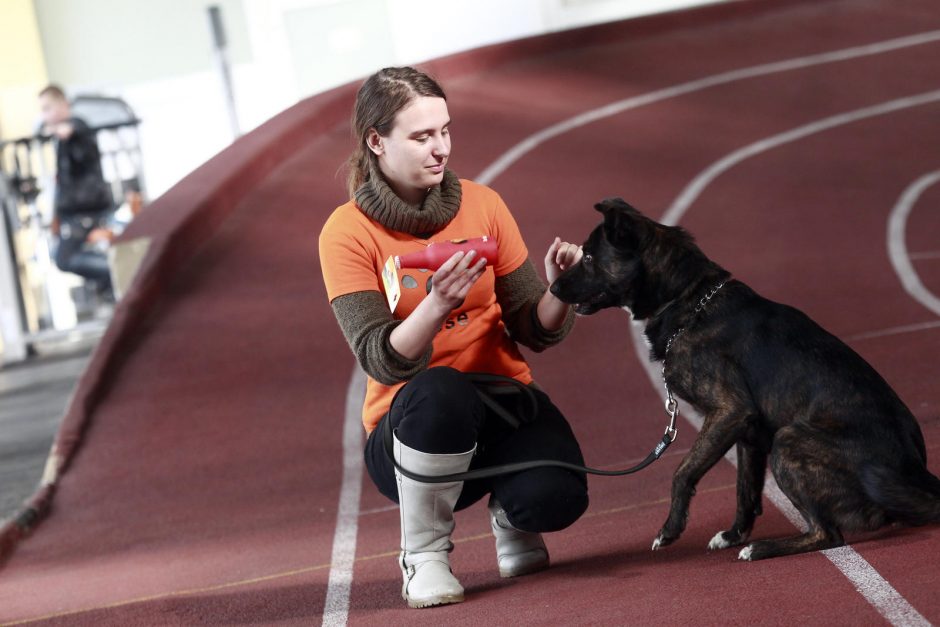 Naminiai gyvūnai užkariauja vilniečių širdis