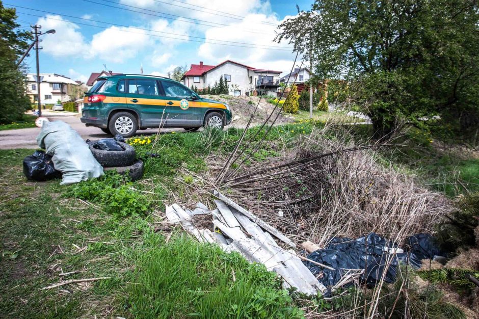 Didžiausi šiukšlintojai – privačių namų savininkai