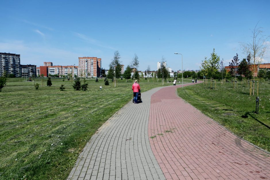 Už medį parke – 500 eurų