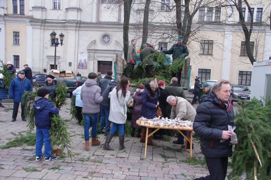 Miškininkai ir dovanoja, ir įspėja