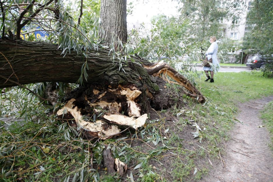 Skaičiuojami nuostoliai: medis suniokojo 22 tūkst. eurų kainavusį BMW