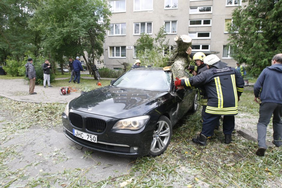 Skaičiuojami nuostoliai: medis suniokojo 22 tūkst. eurų kainavusį BMW