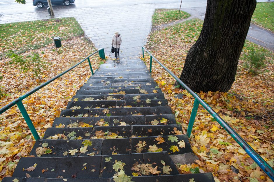 Pėsčiųjų viadukai laukia remonto