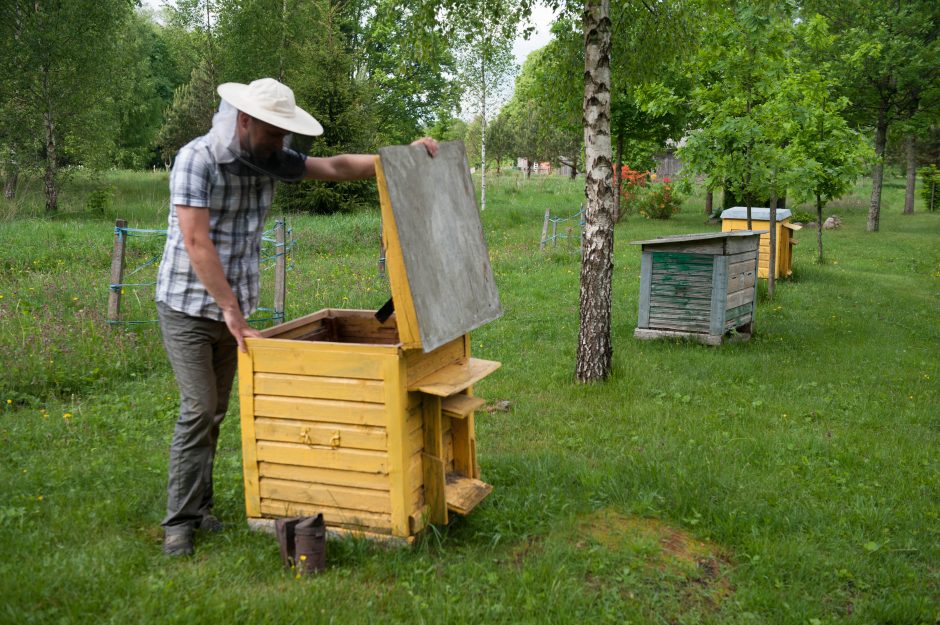 Kai geriau už viską – margas kaimo gyvenimas