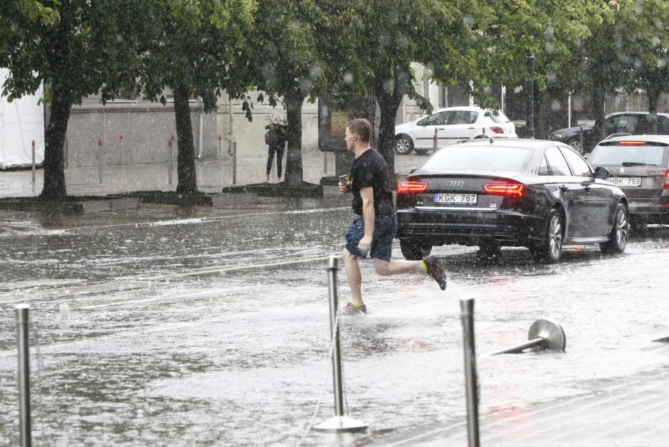 Po liūties Klaipėdoje – laistyti medžių