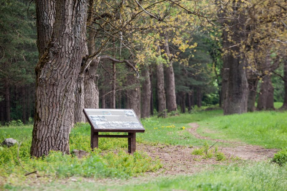 Senosios žydų kapinės pasikeitė neatpažįstamai